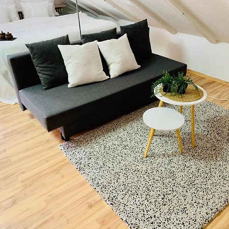 Studio Apartment In Direkter Naehe Zur Uniklinik Homburg 홈부르크 외부 사진