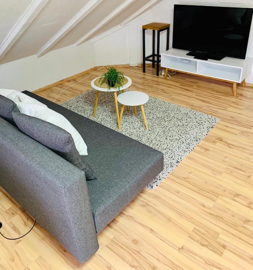 Studio Apartment In Direkter Naehe Zur Uniklinik Homburg 홈부르크 외부 사진