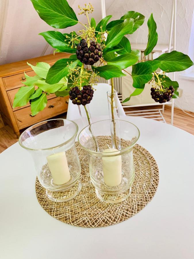 Studio Apartment In Direkter Naehe Zur Uniklinik Homburg 홈부르크 외부 사진