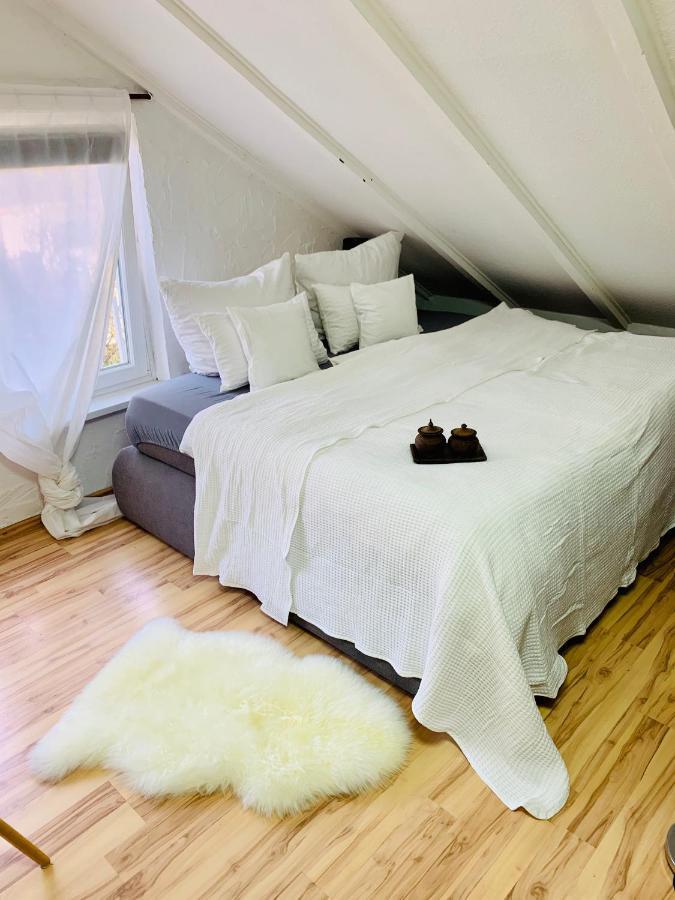 Studio Apartment In Direkter Naehe Zur Uniklinik Homburg 홈부르크 외부 사진