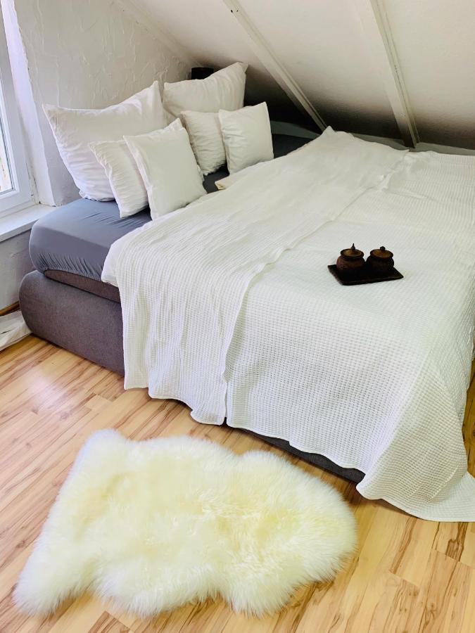 Studio Apartment In Direkter Naehe Zur Uniklinik Homburg 홈부르크 외부 사진