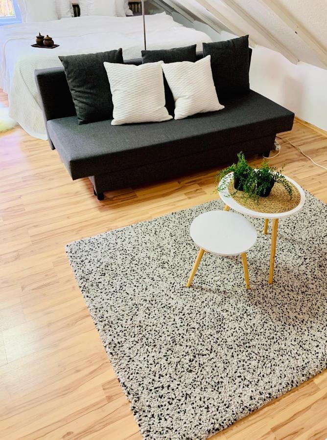 Studio Apartment In Direkter Naehe Zur Uniklinik Homburg 홈부르크 외부 사진