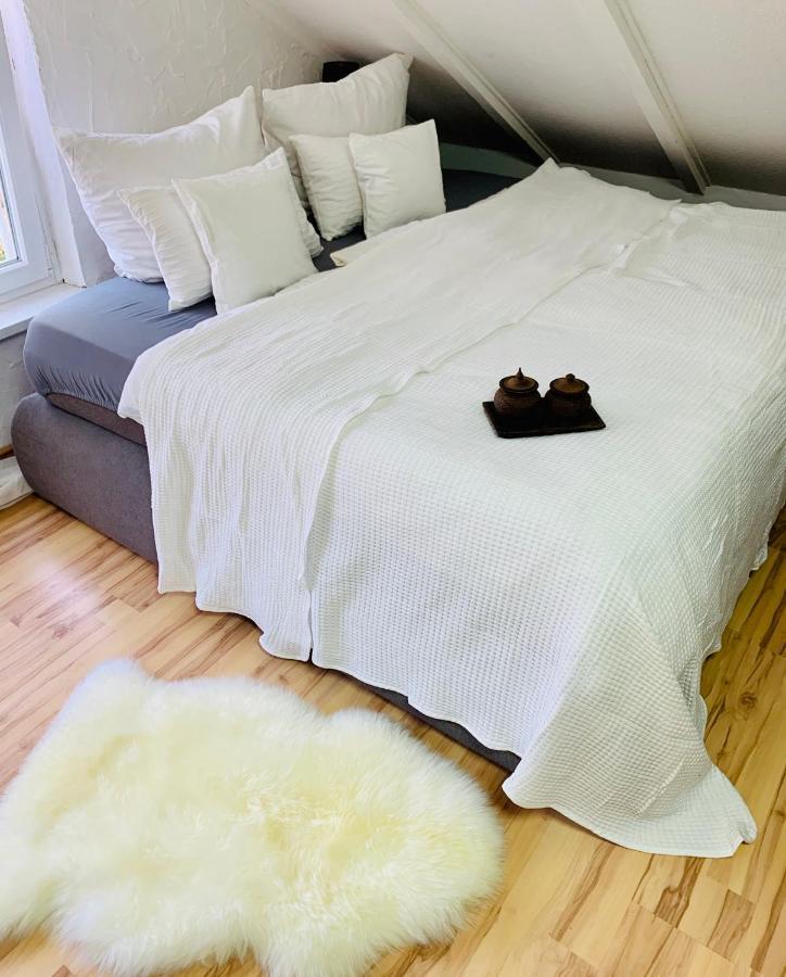Studio Apartment In Direkter Naehe Zur Uniklinik Homburg 홈부르크 외부 사진