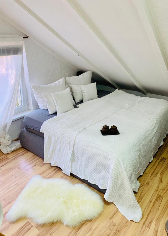 Studio Apartment In Direkter Naehe Zur Uniklinik Homburg 홈부르크 외부 사진